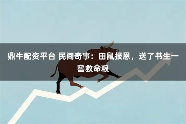 鼎牛配资平台 民间奇事：田鼠报恩，送了书生一窖救命粮