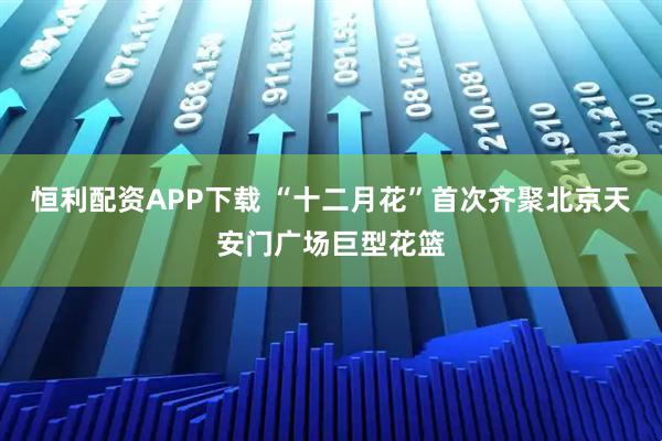 恒利配资APP下载 “十二月花”首次齐聚北京天安门广场巨型花篮